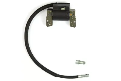 Ηλεκτρονική Briggs Stratton 1